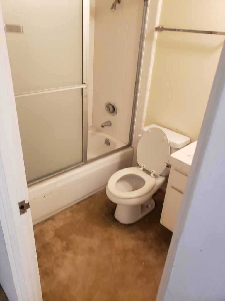 Bathroom Renovation